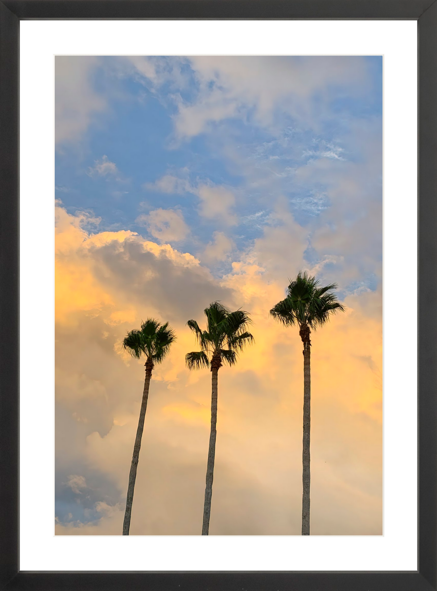 Pastel Palms