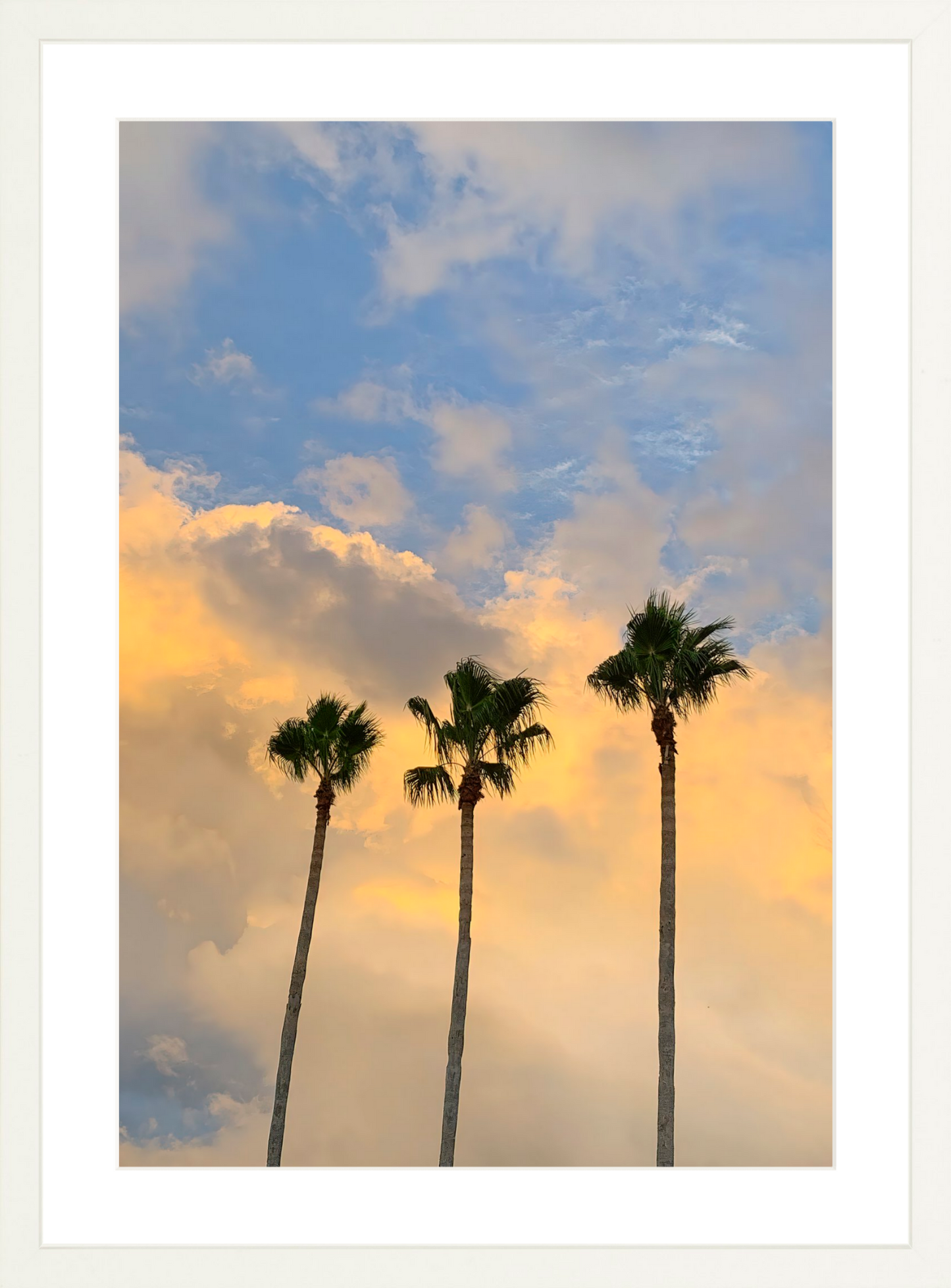 Pastel Palms