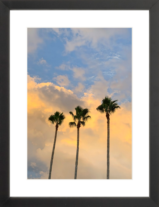 Pastel Palms