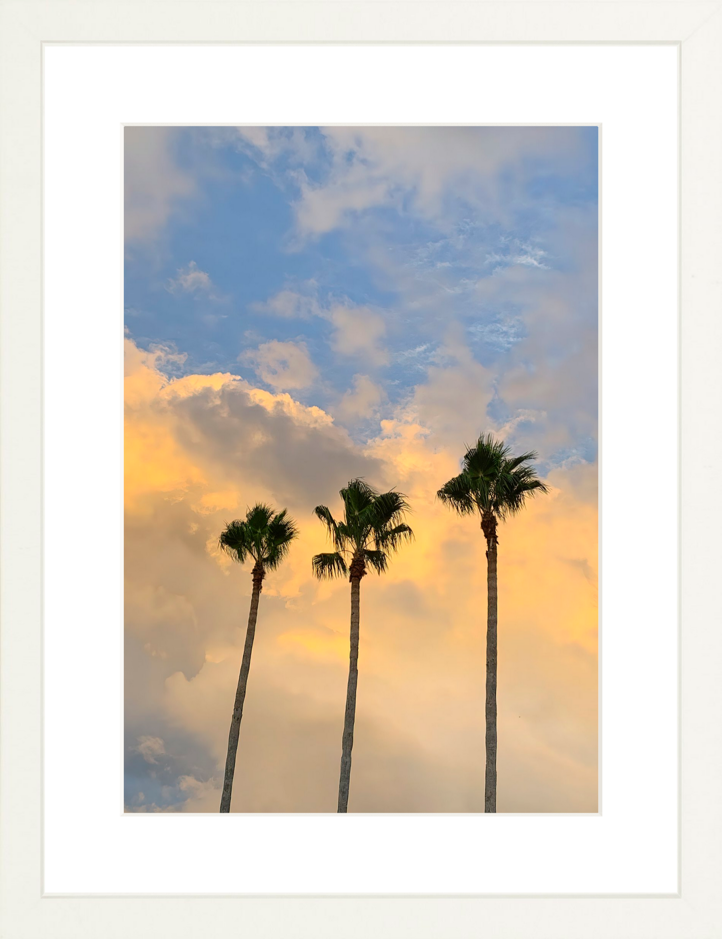 Pastel Palms
