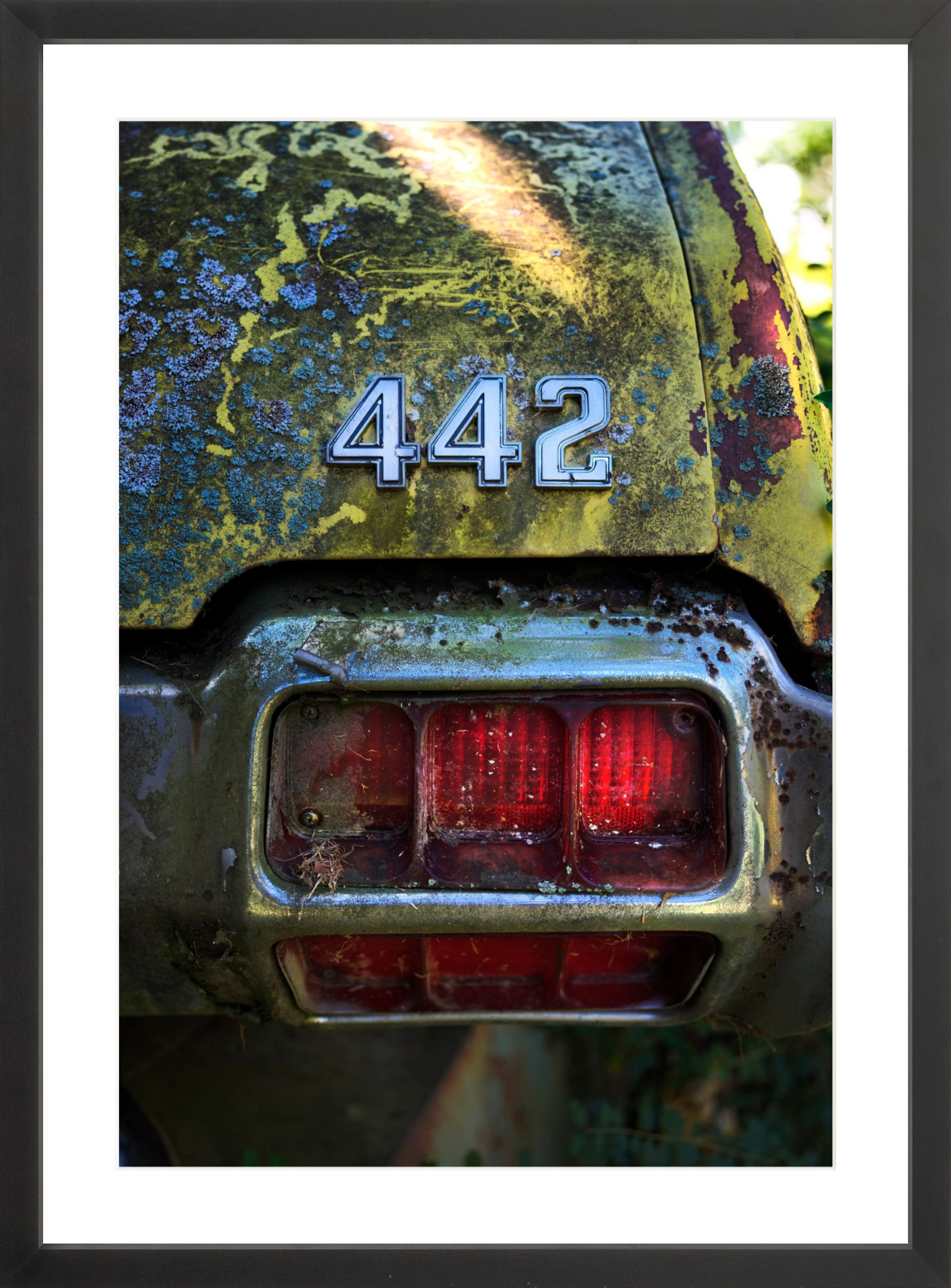 442 – DIVERGENT IMAGE