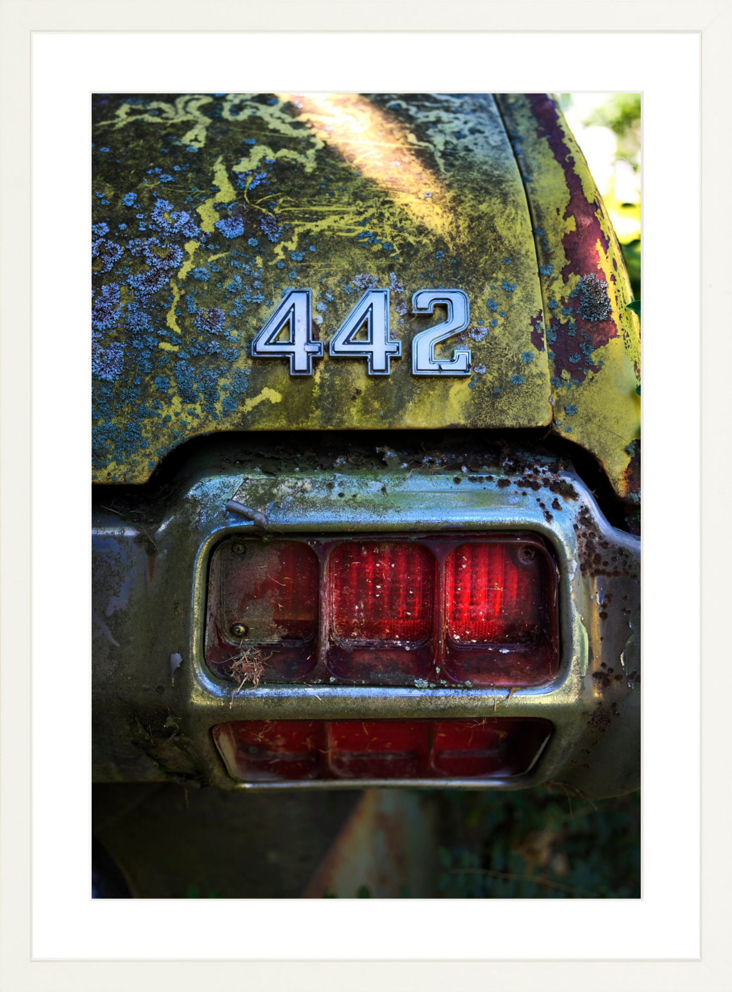 442 – DIVERGENT IMAGE