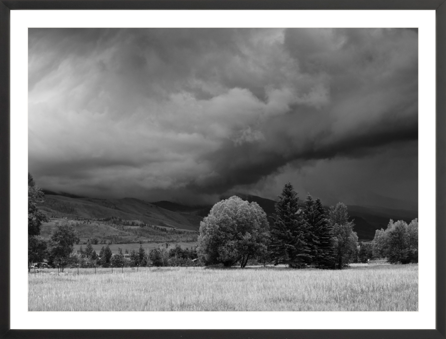 Montana Storm